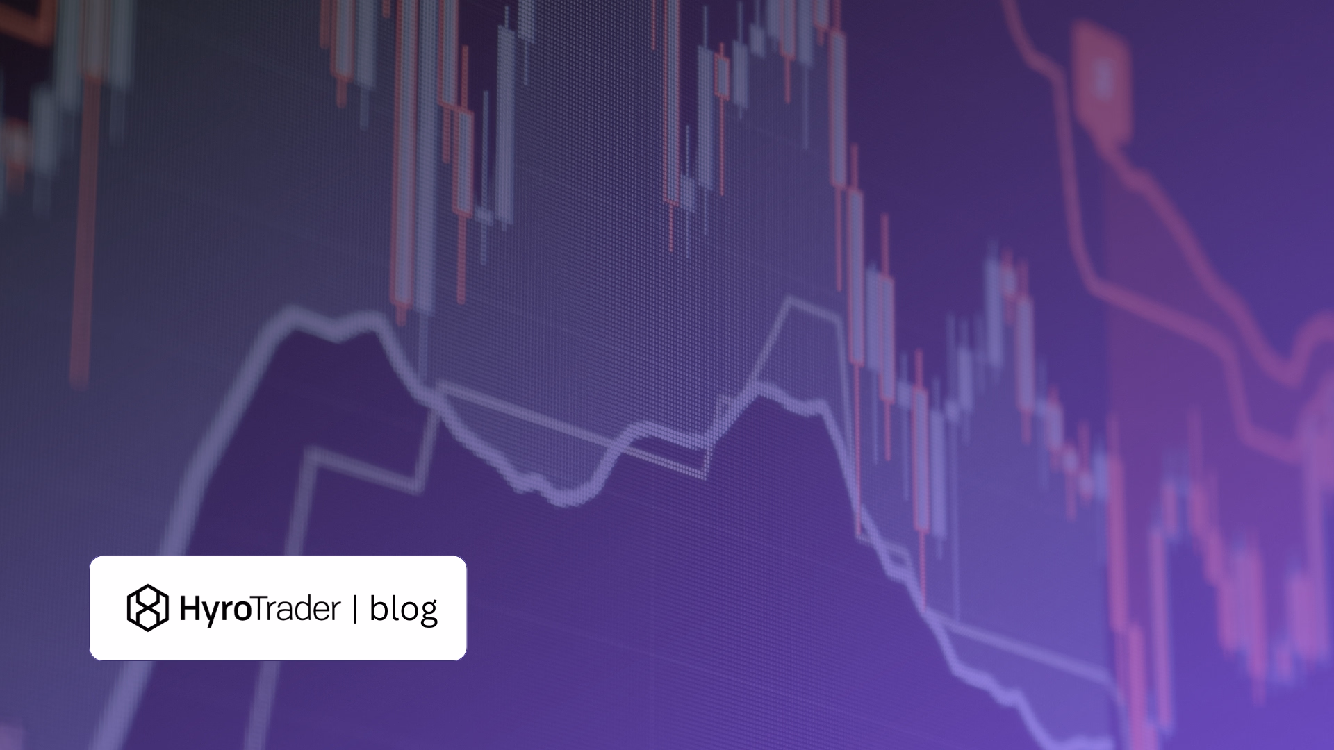 Crypto Trends for Beginners: The Ultimate Guide